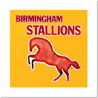 Birmingham Stallions Football Posters and Art